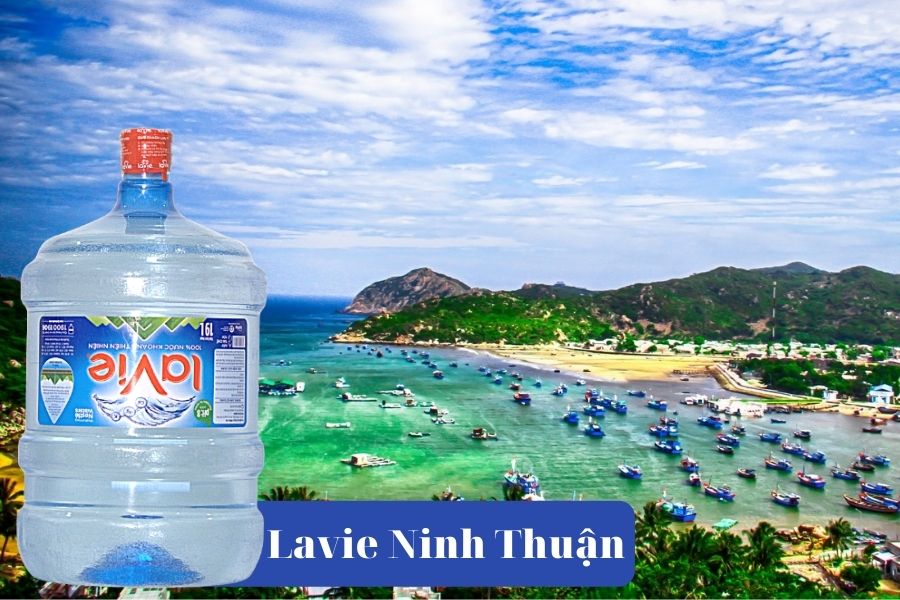 Đại lý Lavie Ninh Thuận