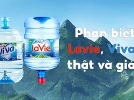 Hướng dẫn phân biệt Lavie thật giả